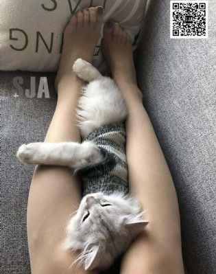 美人电影在线观看