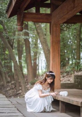 藏海花电视剧