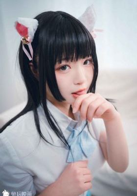 秘行要员