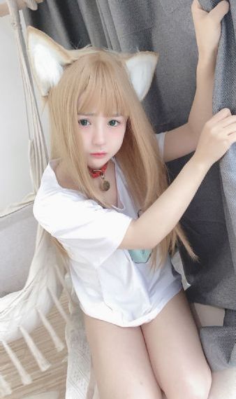 楼顶的大象