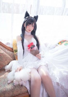一级大黄